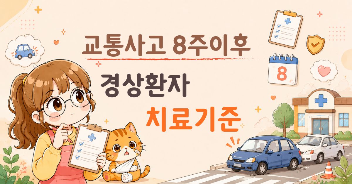교통사고 8주이후 경상환자 치료기준